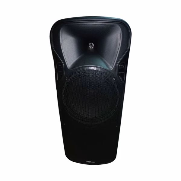 inter.sound speaker 12 inch double