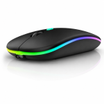 Wireless RGP Light Charging Mute Mouse HP W10