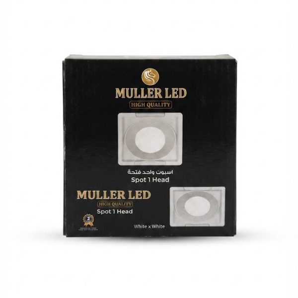 LED electronic light Muller