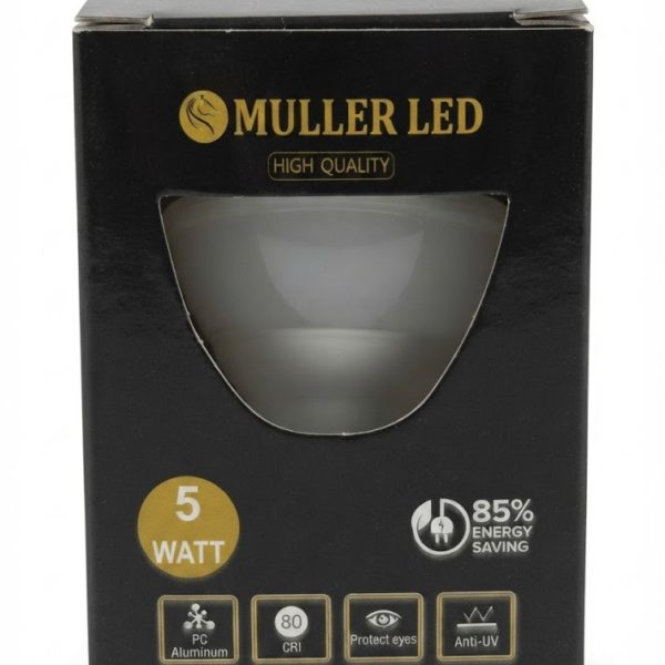 LED 5W electronic light